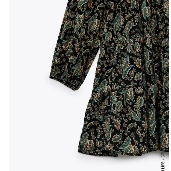 Zara Long Sleeve Mini Dress - Picture 4 of 15